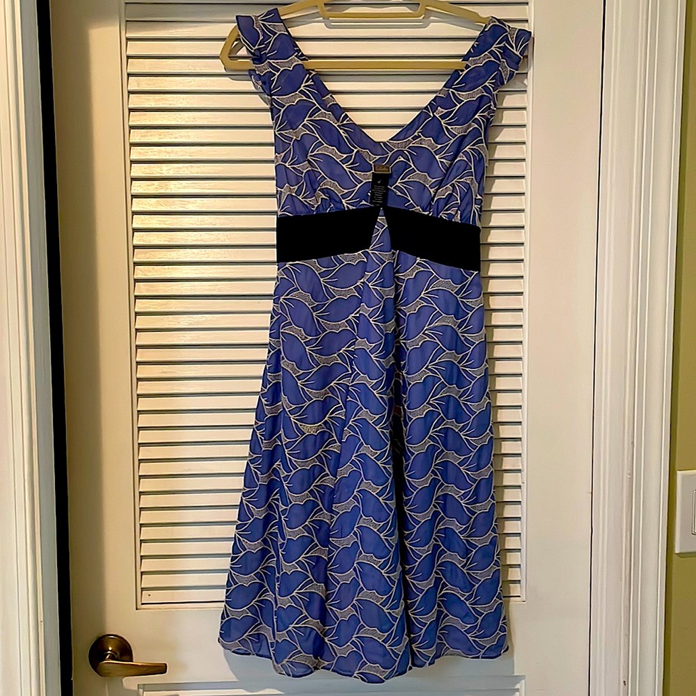 Gorgeous Anthropologie Lithe dress worn once for a spring wedding